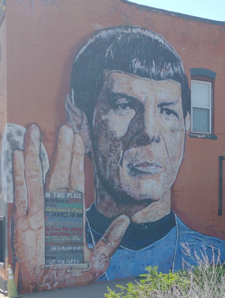 Wall Art - Spock. Star Trek. 